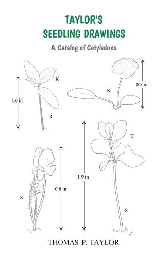 Cover image for TAYLOR'S SEEDLING DRAWINGS