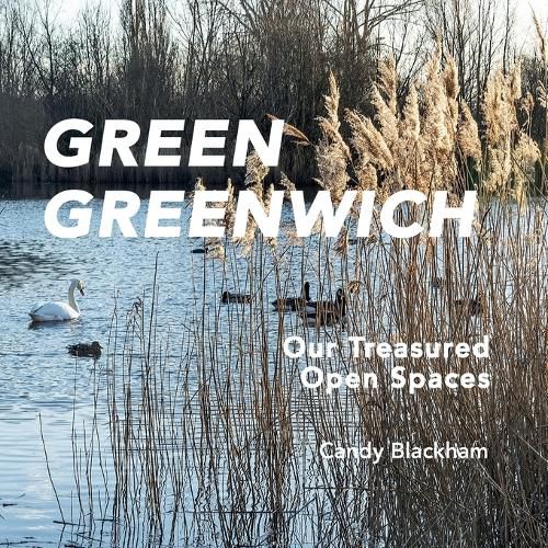 Cover image for Green Greenwich