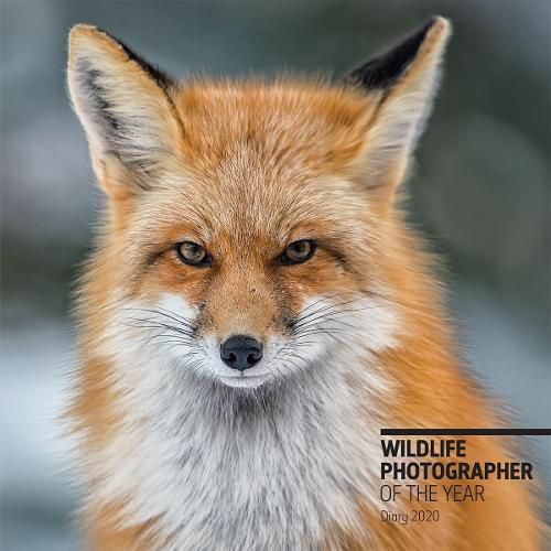 Cover image for Wildlife Photographer of the Year Pocket Diary 2020