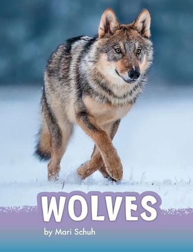 Cover image for Wolves