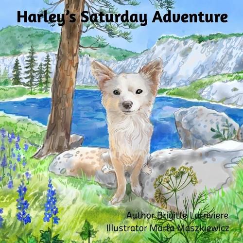 Cover image for Harley's Saturday Adventure!