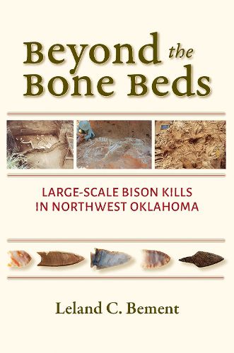 Cover image for Beyond the Bone Beds