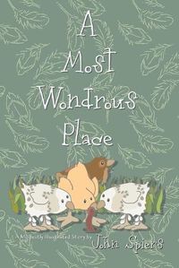 Cover image for A Most Wondrous Place