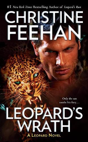 Cover image for Leopard's Wrath