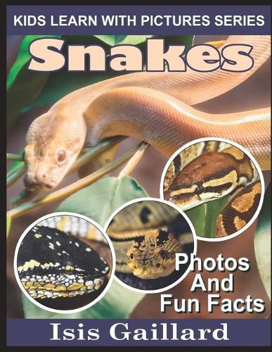 Cover image for Snakes: Photos and Fun Facts for Kids