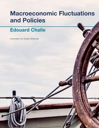Cover image for Macroeconomic Fluctuations and Policies