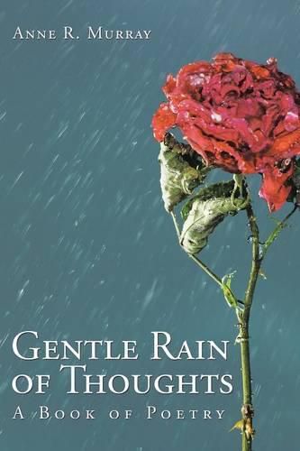 Gentle Rain of Thoughts