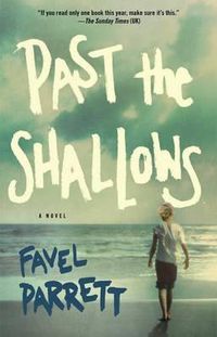 Cover image for Past the Shallows