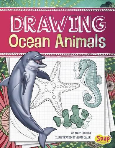 Drawing Ocean Animals