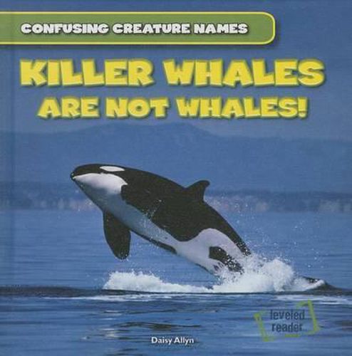 Cover image for Killer Whales Are Not Whales!