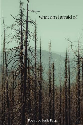 Cover image for what am i afraid of