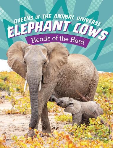 Cover image for Elephant Cows: Heads of the Herd