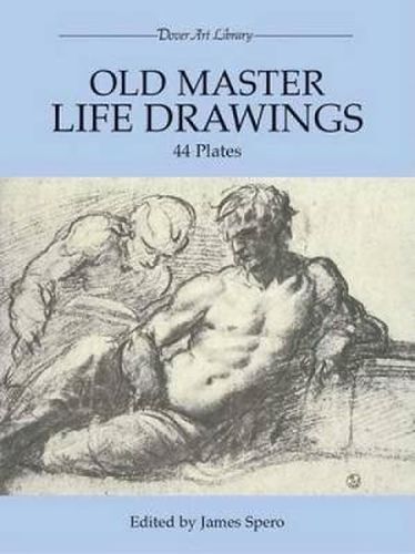 Cover image for Old Master Life Drawings