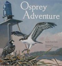 Cover image for Osprey Adventure