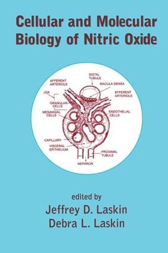 Cover image for Cellular and Molecular Biology of Nitric Oxide