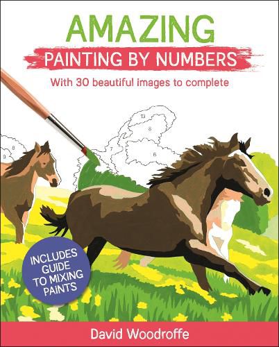 Cover image for Amazing Painting by Numbers: With 30 Beautiful Images to Complete. Includes Guide to Mixing Paints
