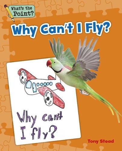 Why Can't I Fly?