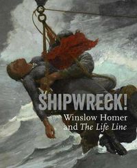 Cover image for Shipwreck! Winslow Homer and  The Life Line
