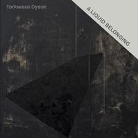 Cover image for Torkwase Dyson: A Liquid Belonging