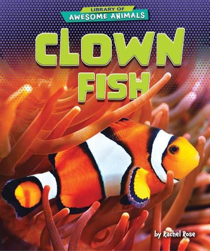 Cover image for Clown Fish