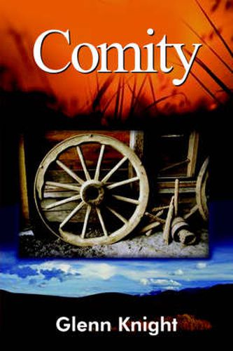Cover image for Comity