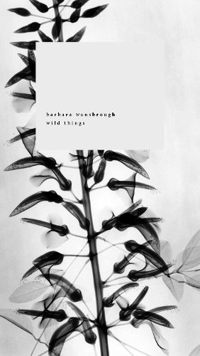 Cover image for Wild Things