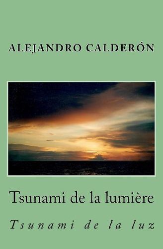 Cover image for Tsunami de la lumiere: Tsunami de la luz