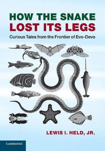 Cover image for How the Snake Lost its Legs: Curious Tales from the Frontier of Evo-Devo