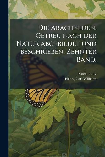 Cover image for Die Arachniden. Getreu Nach Der Natur Abgebildet Und Beschrieben