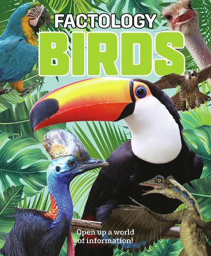 Cover image for Factology: Birds