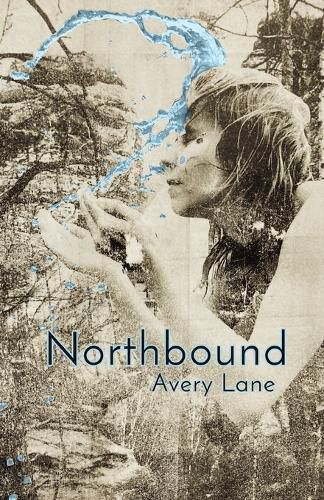 Cover image for Northbound