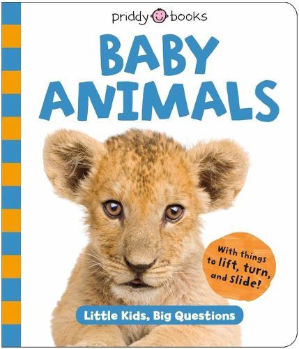 Cover image for Baby Animals (Little Kids, Big Questions)