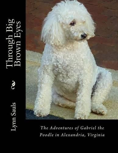 Cover image for Through Big Brown Eyes: The adventures of Gabriel the poodle in Alexandria, Virginia