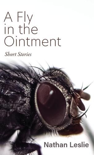 Cover image for A Fly in the Ointment