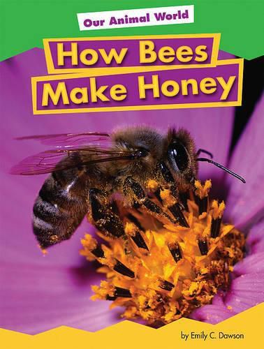 Cover image for How Bees Make Honey