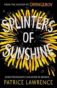 Cover image for Splinters of Sunshine