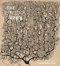 Cover image for The Beautiful Brain: The Drawings of Santiago Ramon y Cajal