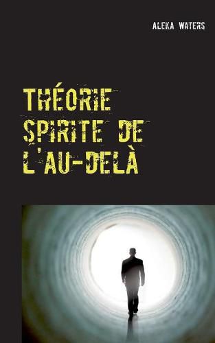 Cover image for Theorie spirite de l'au-dela