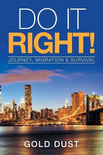 Cover image for Do It Right!