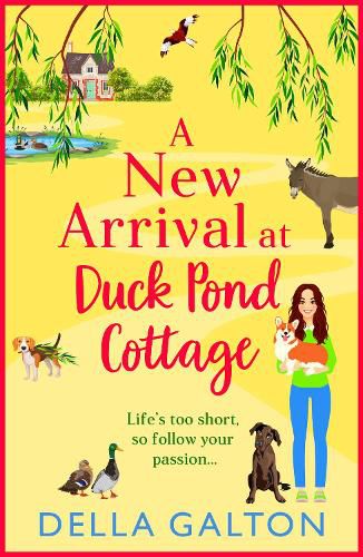 Cover image for A New Arrival at Duck Pond Cottage