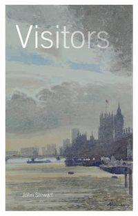 Cover image for Visitors