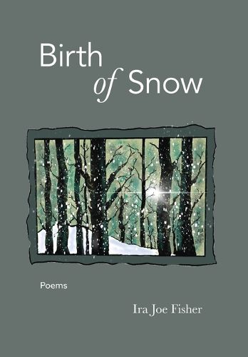 Cover image for The Birth of Snow