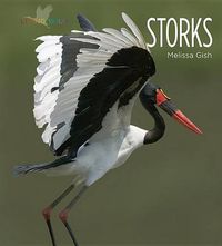 Cover image for Storks