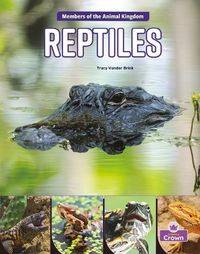 Cover image for Reptiles