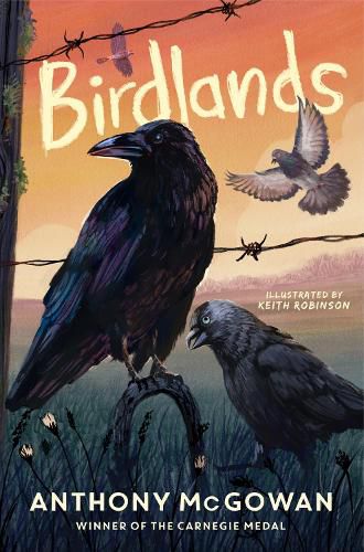 Cover image for Birdlands