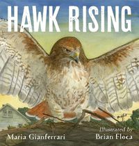 Cover image for Hawk Rising