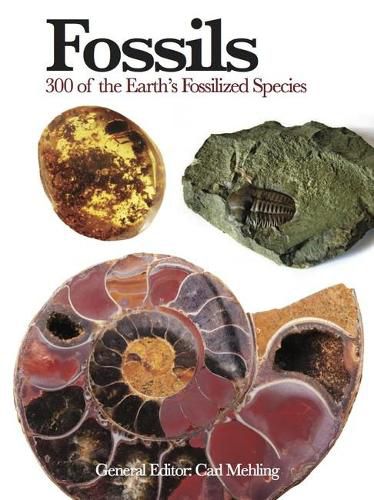 Cover image for Fossils: 300 of the Earth's Fossilized Species