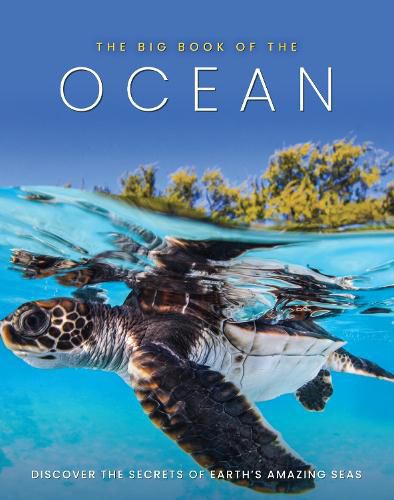 Cover image for The Big Book of the Ocean