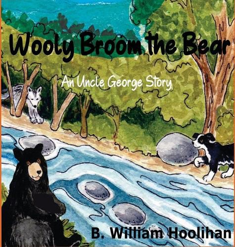 Cover image for Wooly Broom the Bear