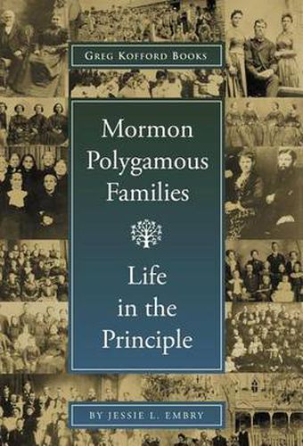 Cover image for Mormon Polygamous Families: Life in the Principle